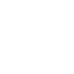 Data Analysis