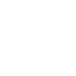 Search